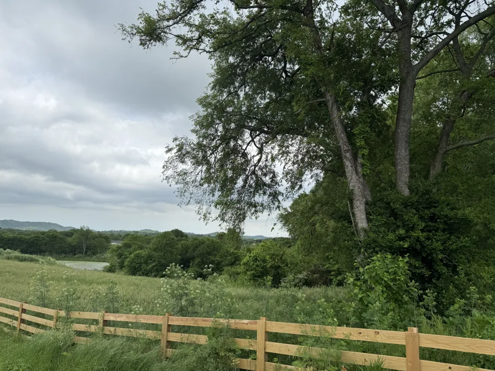 1024 Peak Dr Castalian Springs, TN 37031