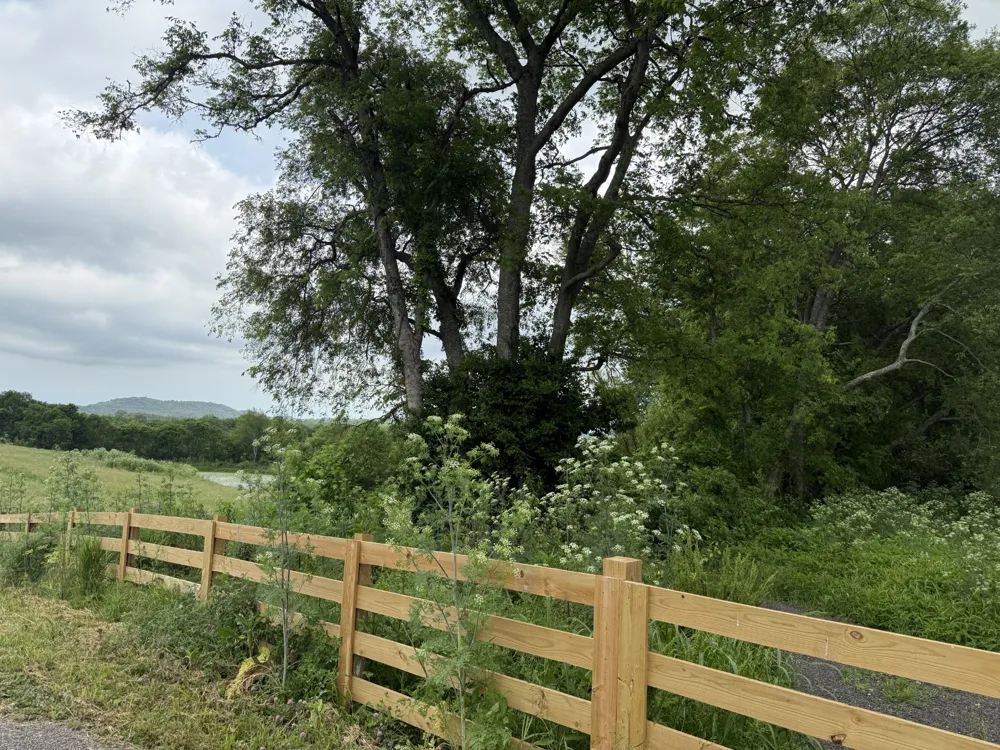 1024 Peak Dr Castalian Springs, TN 37031