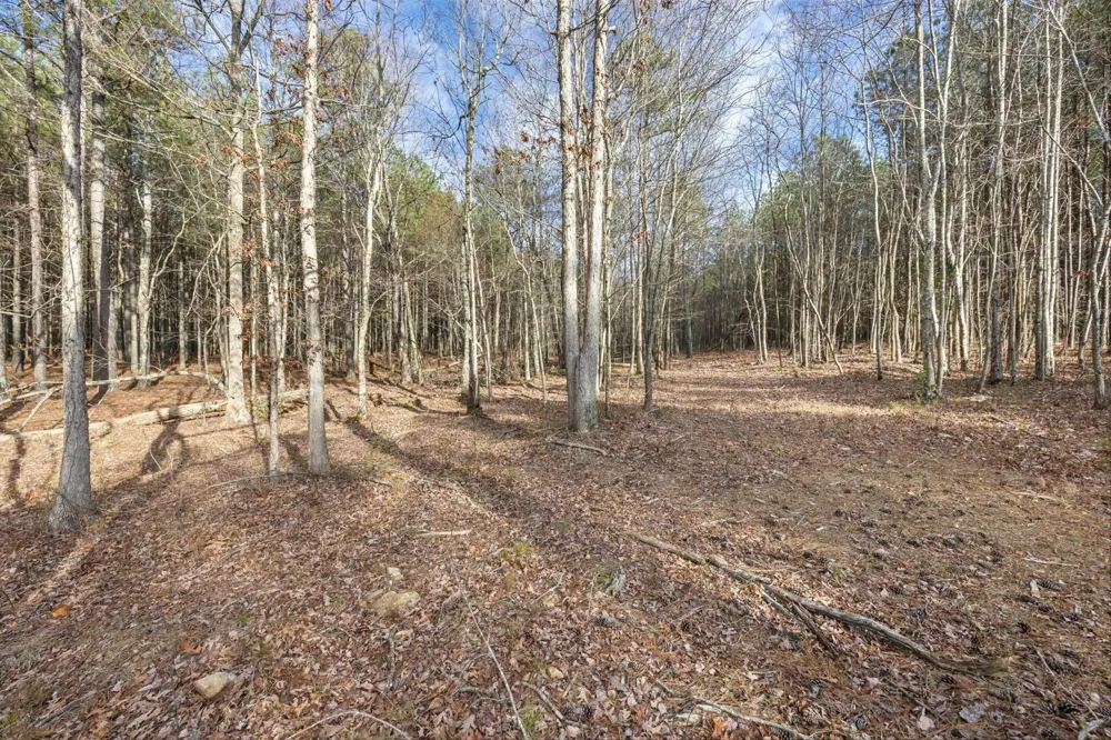 0 Raulston Falls Road Jasper, TN 37347