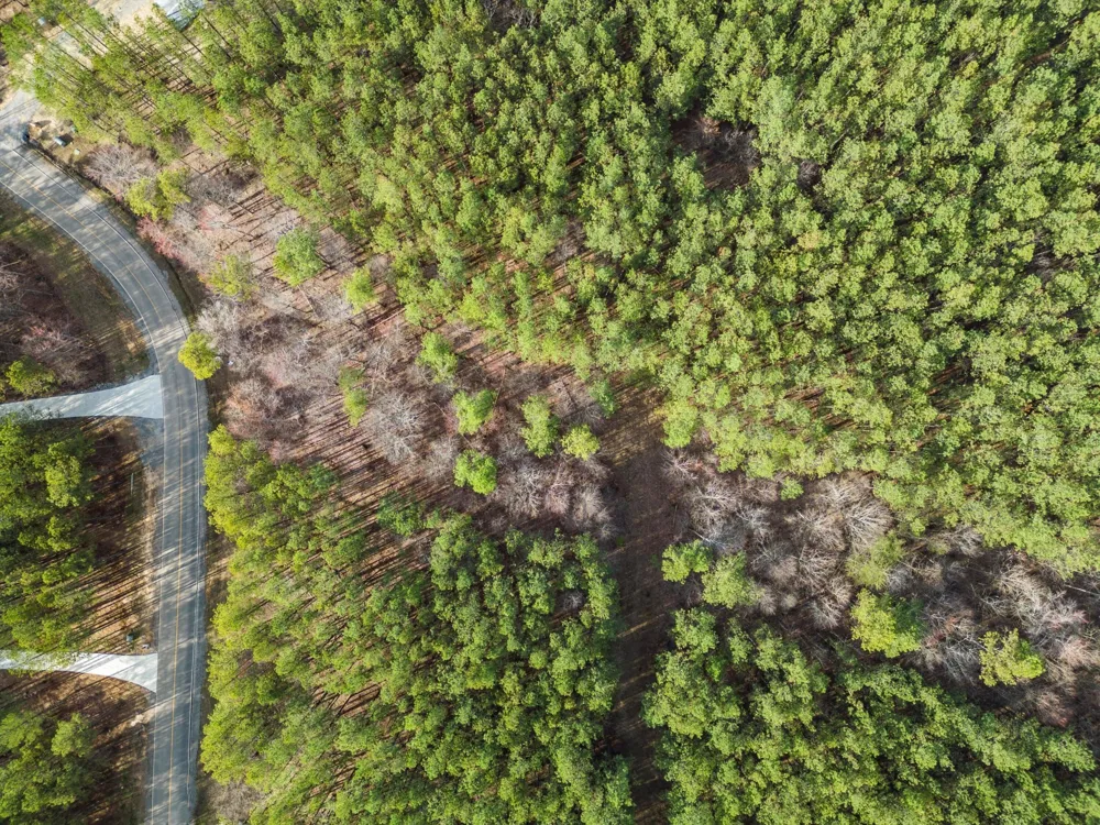 0 Raulston Falls Road Jasper, TN 37347