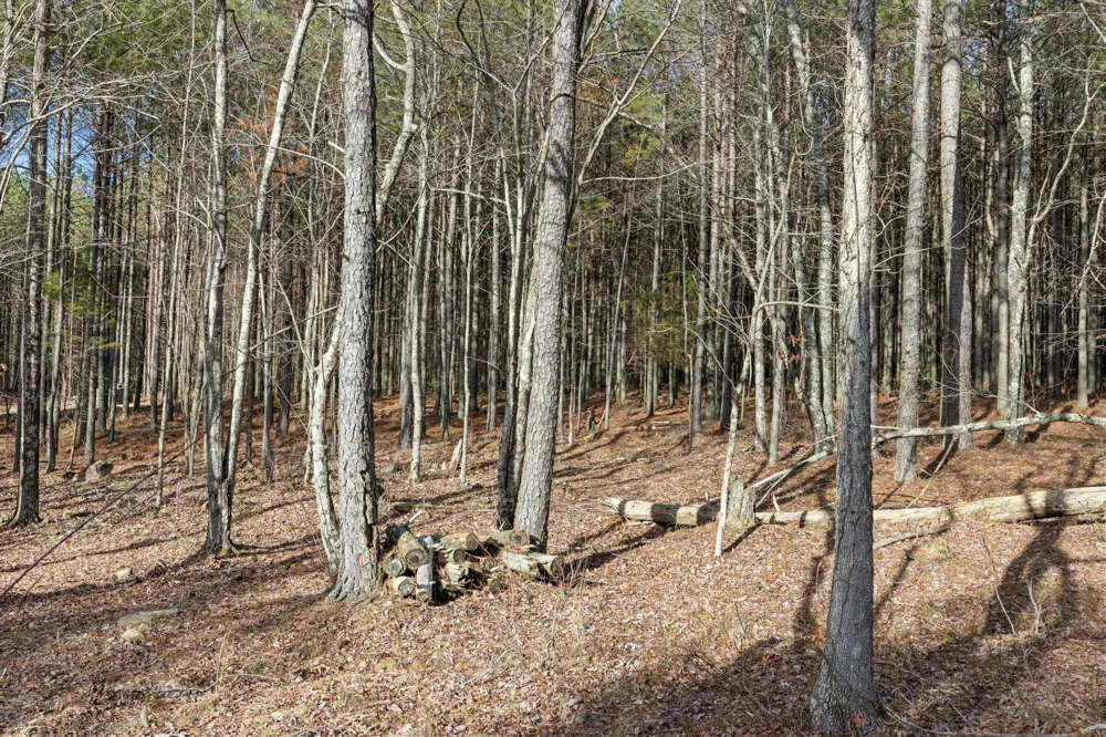 0 Raulston Falls Road Jasper, TN 37347