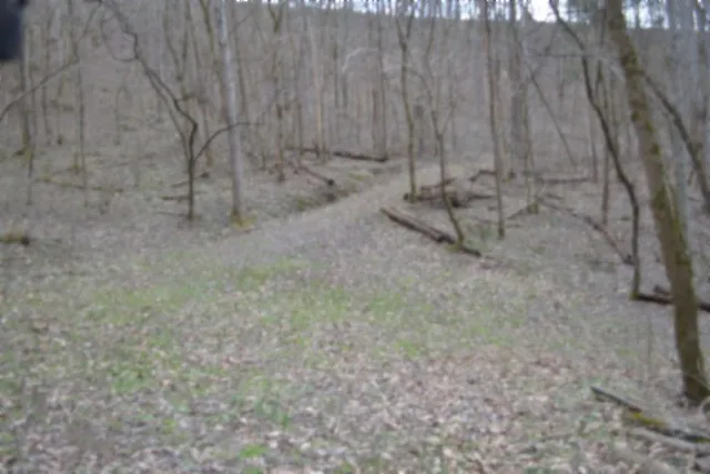 290 Hazel Huffines Ln Whitleyville, TN 38588