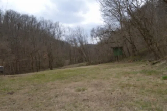 290 Hazel Huffines Ln Whitleyville, TN 38588