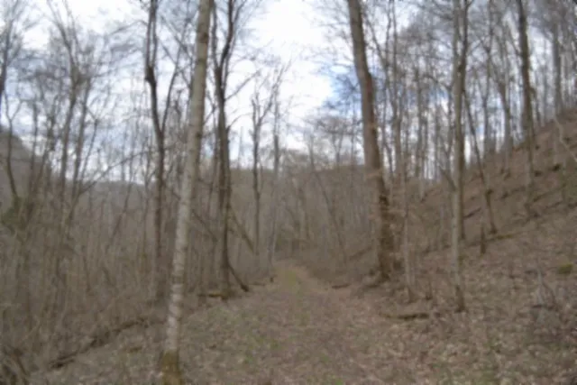 290 Hazel Huffines Ln Whitleyville, TN 38588