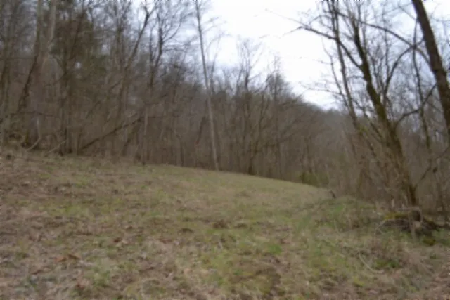 290 Hazel Huffines Ln Whitleyville, TN 38588