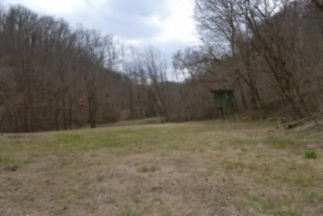 290 Hazel Huffines Ln Whitleyville, TN 38588