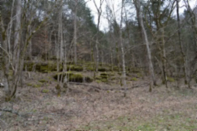290 Hazel Huffines Ln Whitleyville, TN 38588