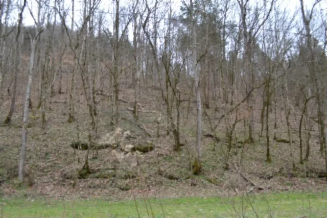 290 Hazel Huffines Ln Whitleyville, TN 38588