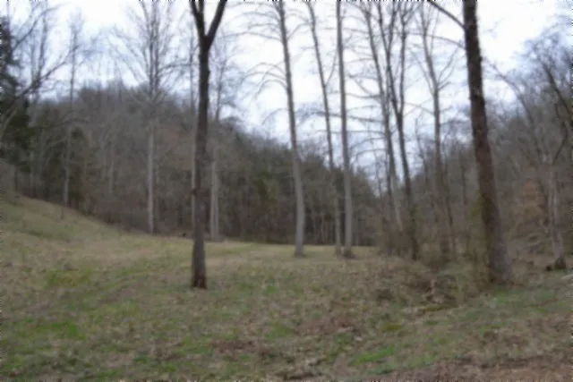 290 Hazel Huffines Ln Whitleyville, TN 38588