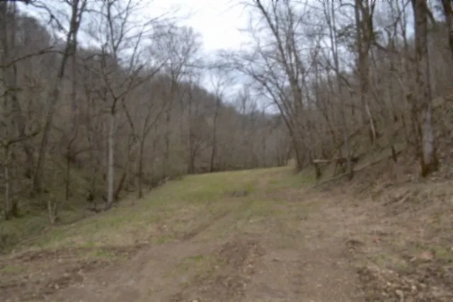 290 Hazel Huffines Ln Whitleyville, TN 38588