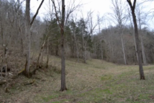 290 Hazel Huffines Ln Whitleyville, TN 38588