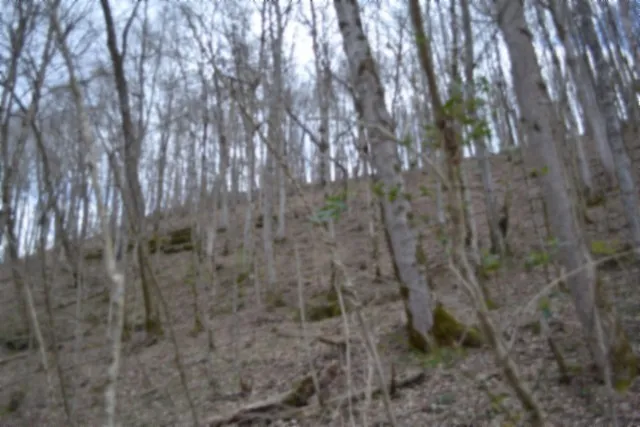 290 Hazel Huffines Ln Whitleyville, TN 38588