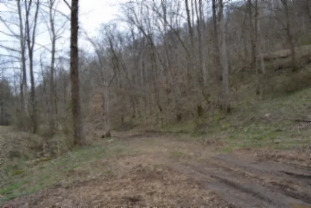 290 Hazel Huffines Ln Whitleyville, TN 38588
