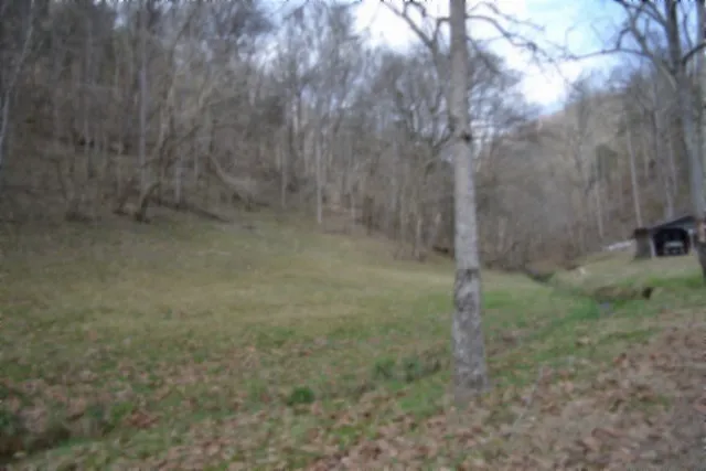 290 Hazel Huffines Ln Whitleyville, TN 38588