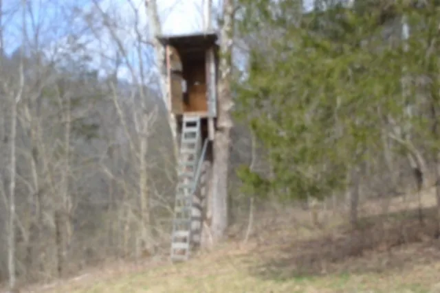 290 Hazel Huffines Ln Whitleyville, TN 38588