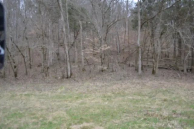 290 Hazel Huffines Ln Whitleyville, TN 38588