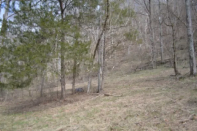 290 Hazel Huffines Ln Whitleyville, TN 38588