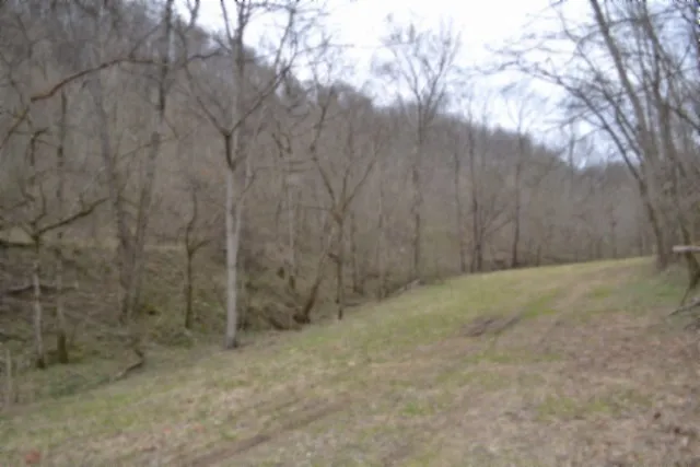 290 Hazel Huffines Ln Whitleyville, TN 38588