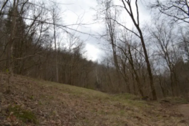 290 Hazel Huffines Ln Whitleyville, TN 38588