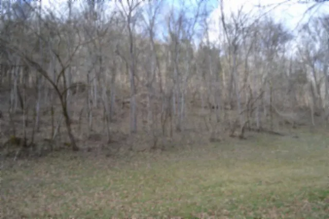 290 Hazel Huffines Ln Whitleyville, TN 38588