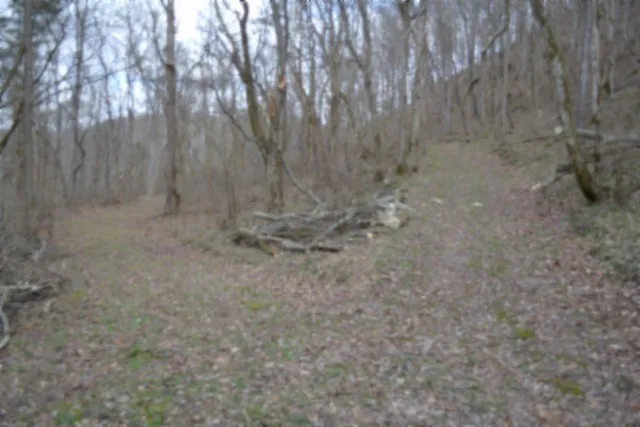 290 Hazel Huffines Ln Whitleyville, TN 38588