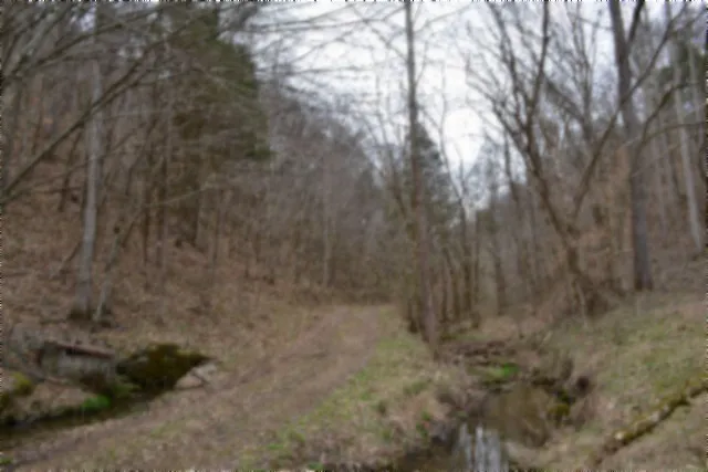 290 Hazel Huffines Ln Whitleyville, TN 38588