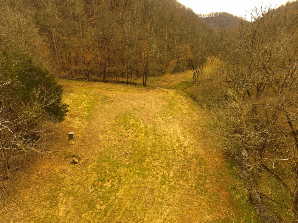 290 Hazel Huffines Ln Whitleyville, TN 38588