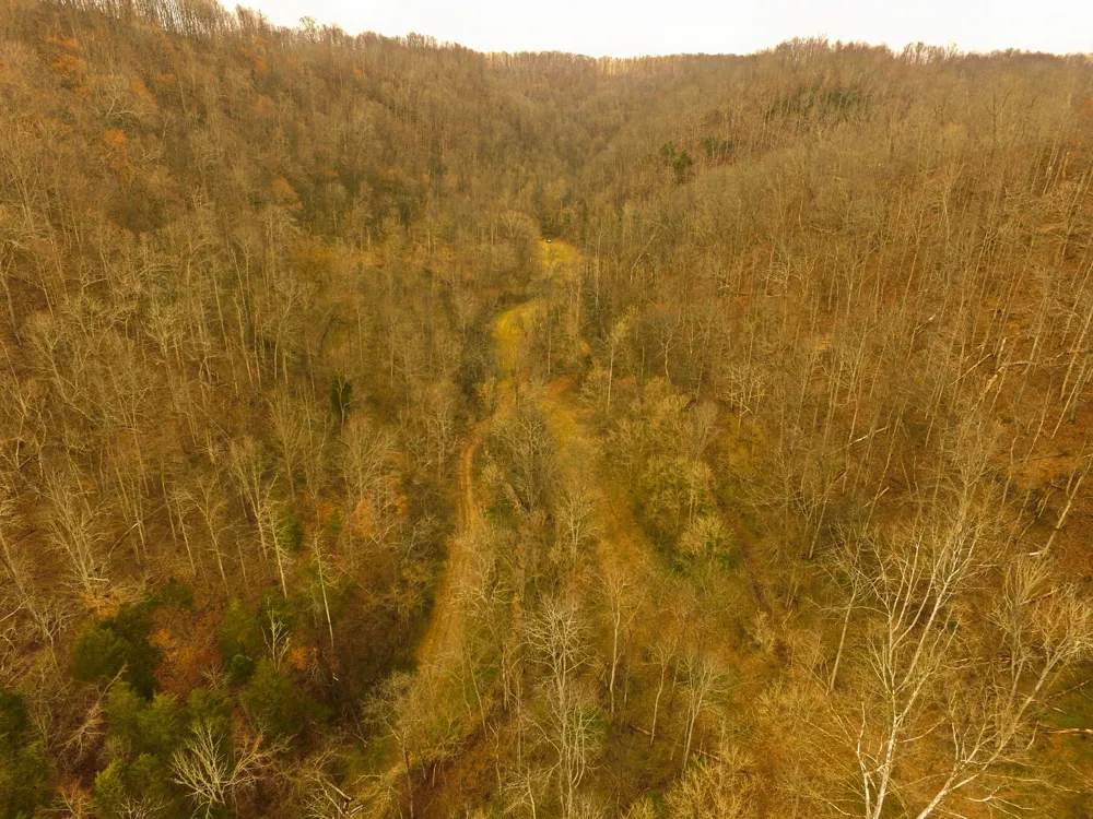 290 Hazel Huffines Ln Whitleyville, TN 38588