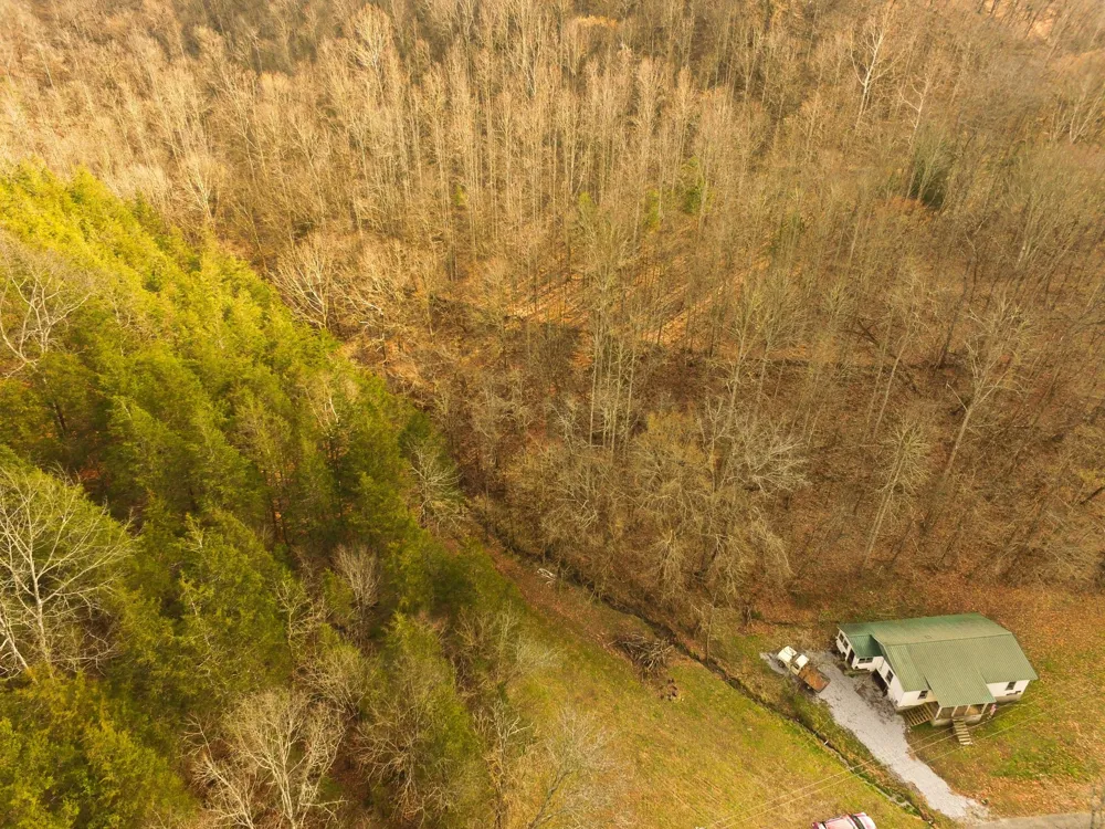 290 Hazel Huffines Ln Whitleyville, TN 38588