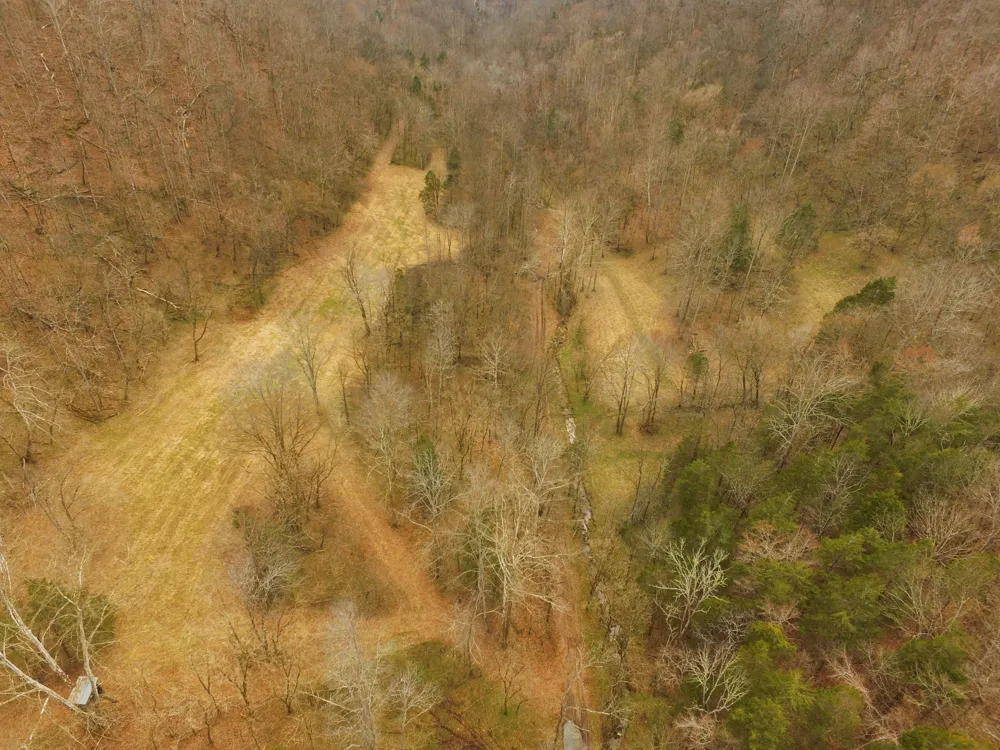 290 Hazel Huffines Ln Whitleyville, TN 38588