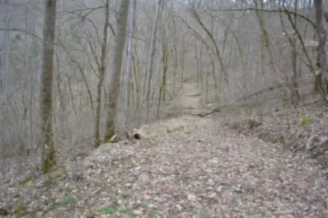290 Hazel Huffines Ln Whitleyville, TN 38588