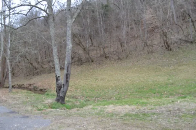290 Hazel Huffines Ln Whitleyville, TN 38588