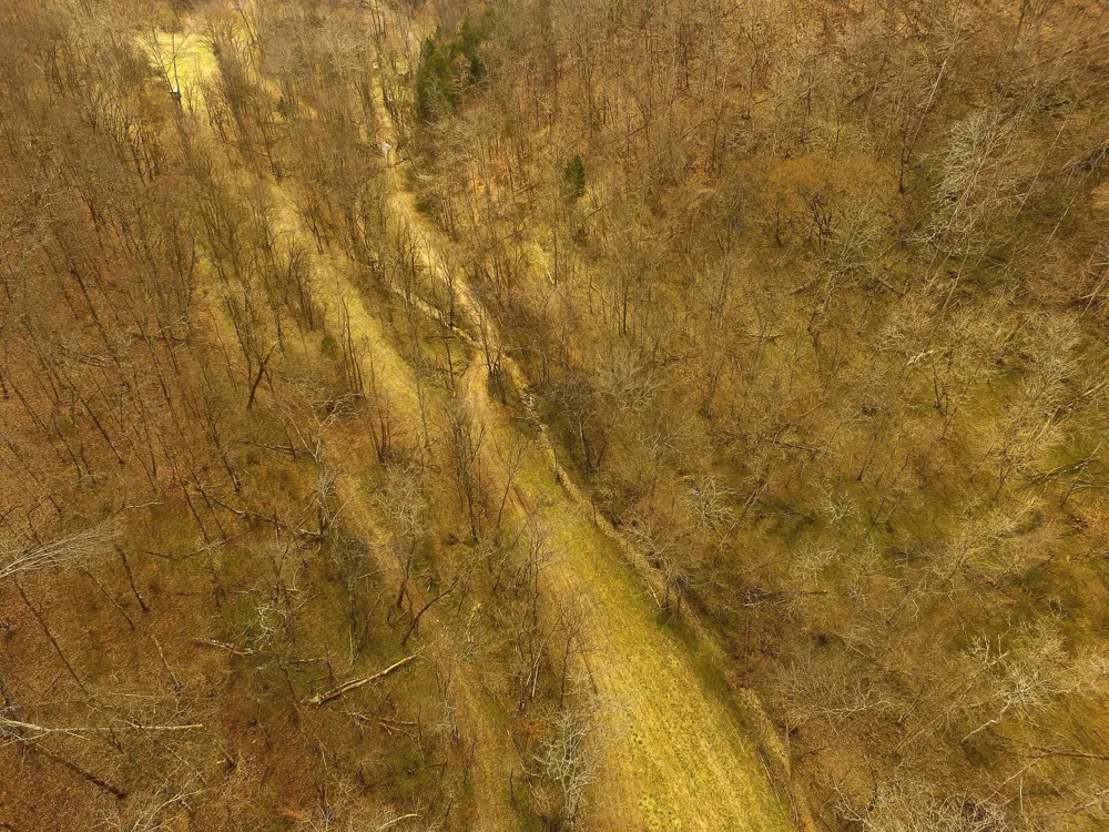 290 Hazel Huffines Ln Whitleyville, TN 38588