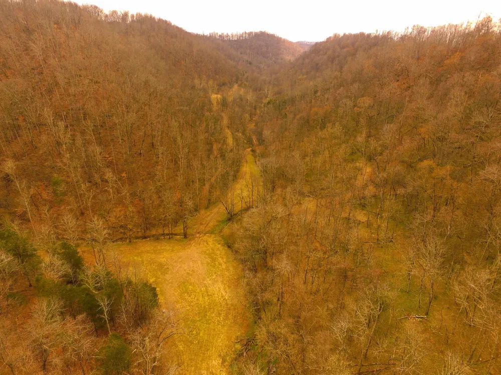 290 Hazel Huffines Ln Whitleyville, TN 38588