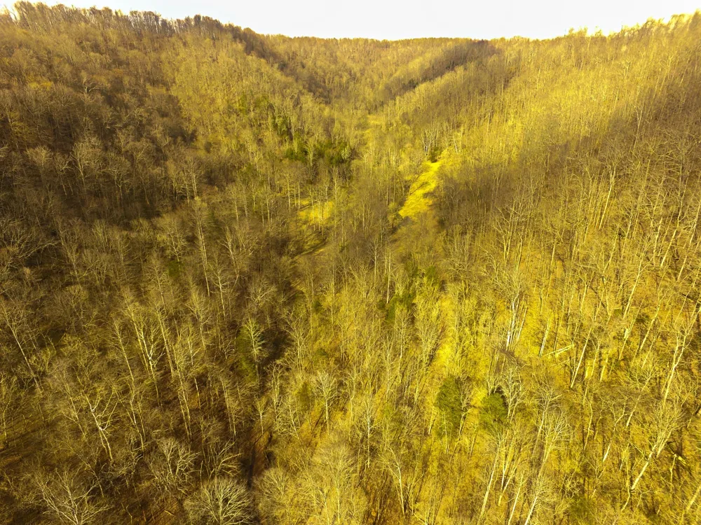 290 Hazel Huffines Ln Whitleyville, TN 38588