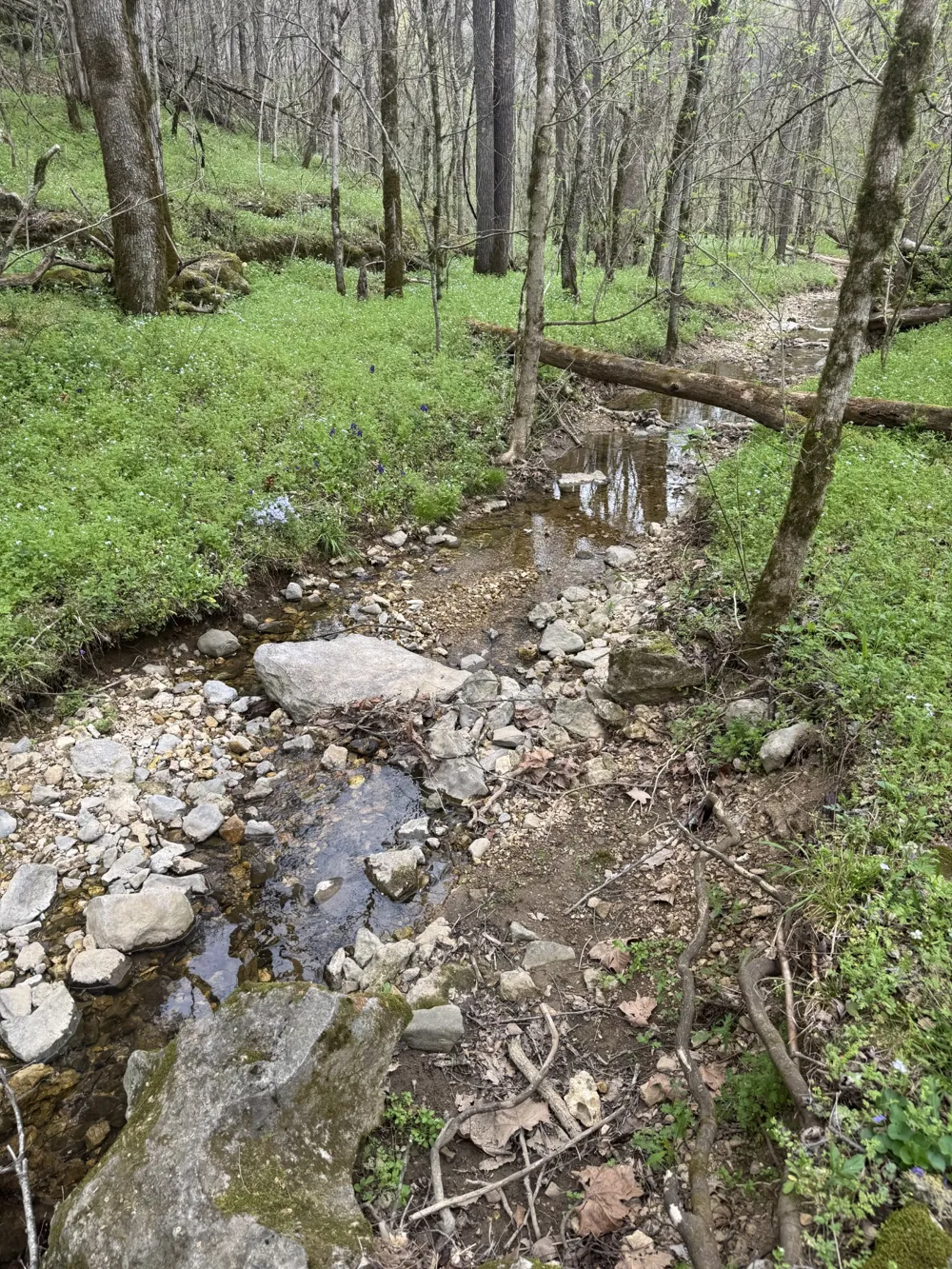 0 McBroom Branch Rd Baxter, TN 38544