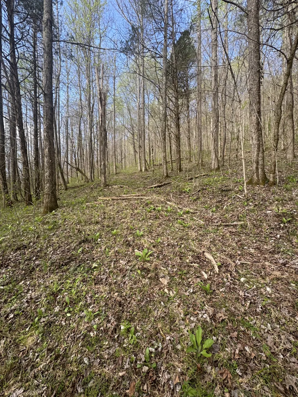 0 McBroom Branch Rd Baxter, TN 38544