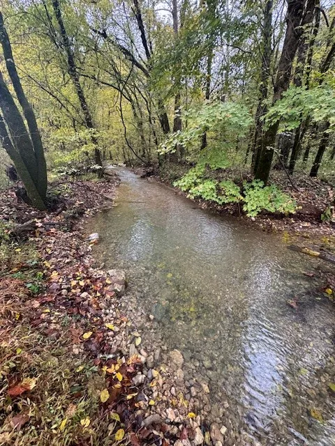 0 McBroom Branch Rd Baxter, TN 38544