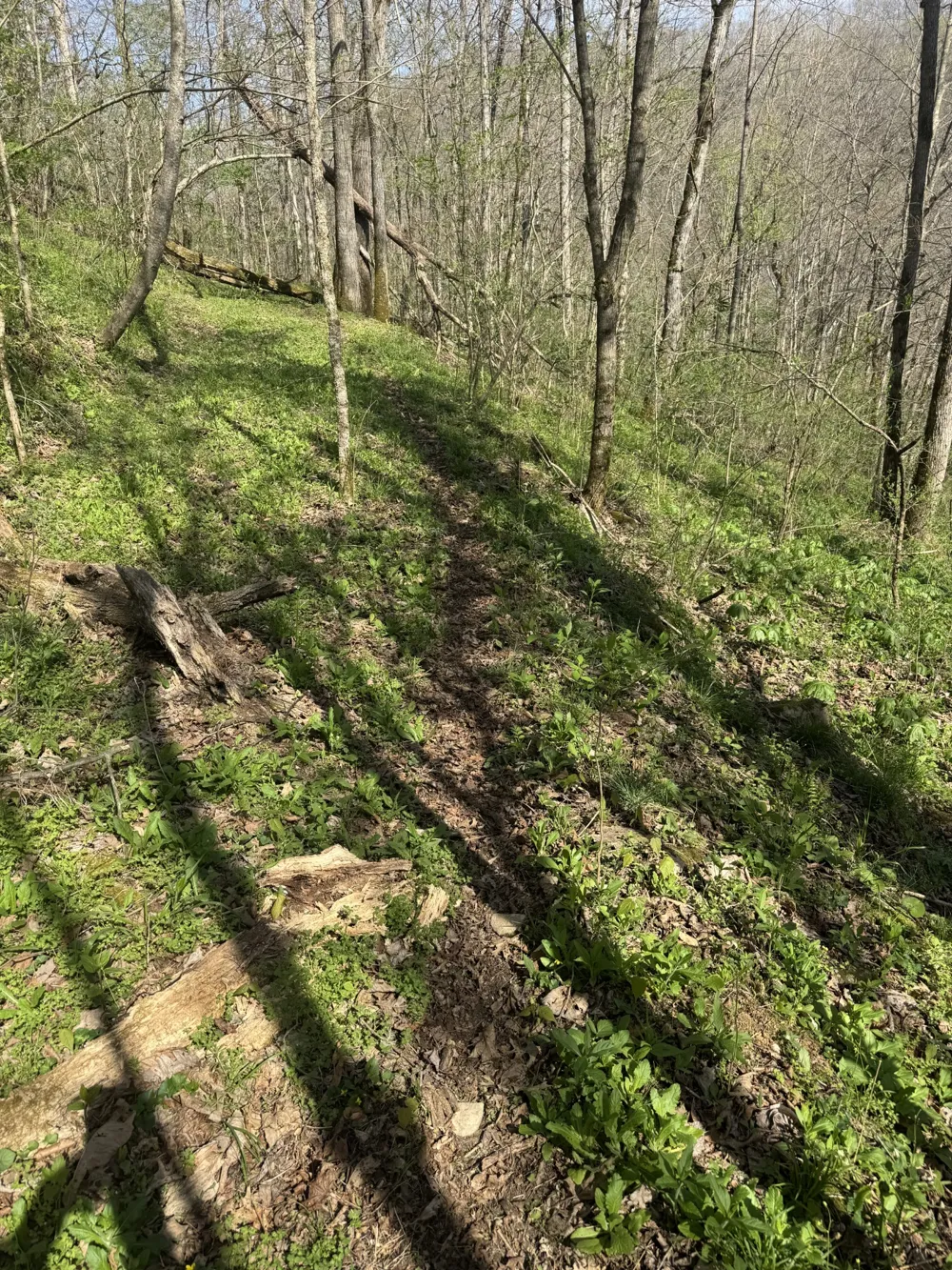 0 McBroom Branch Rd Baxter, TN 38544