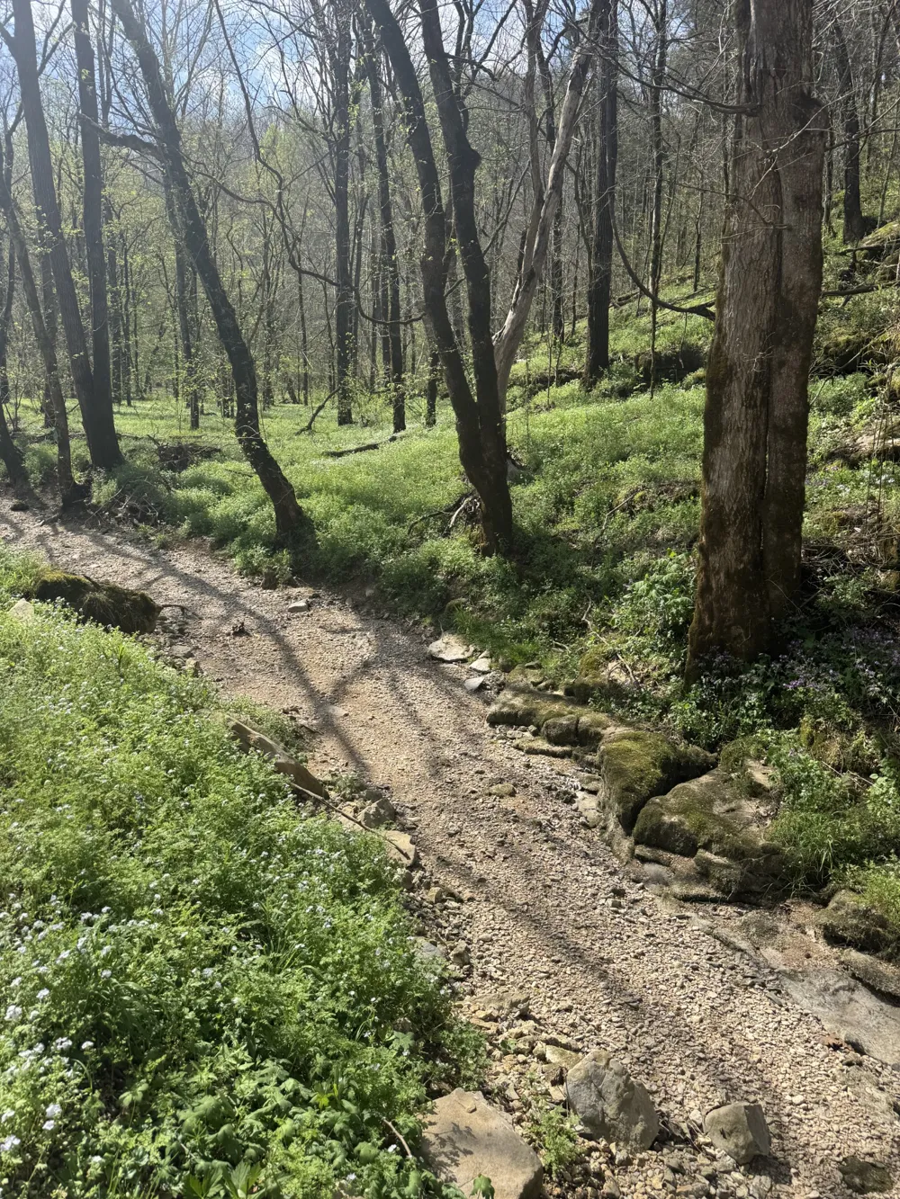 0 McBroom Branch Rd Baxter, TN 38544