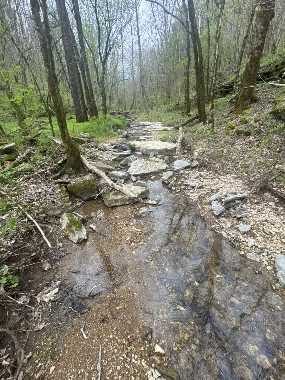 0 McBroom Branch Rd Baxter, TN 38544