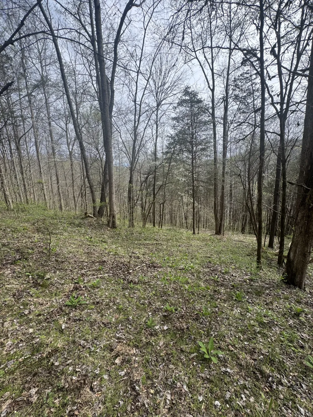 0 McBroom Branch Rd Baxter, TN 38544