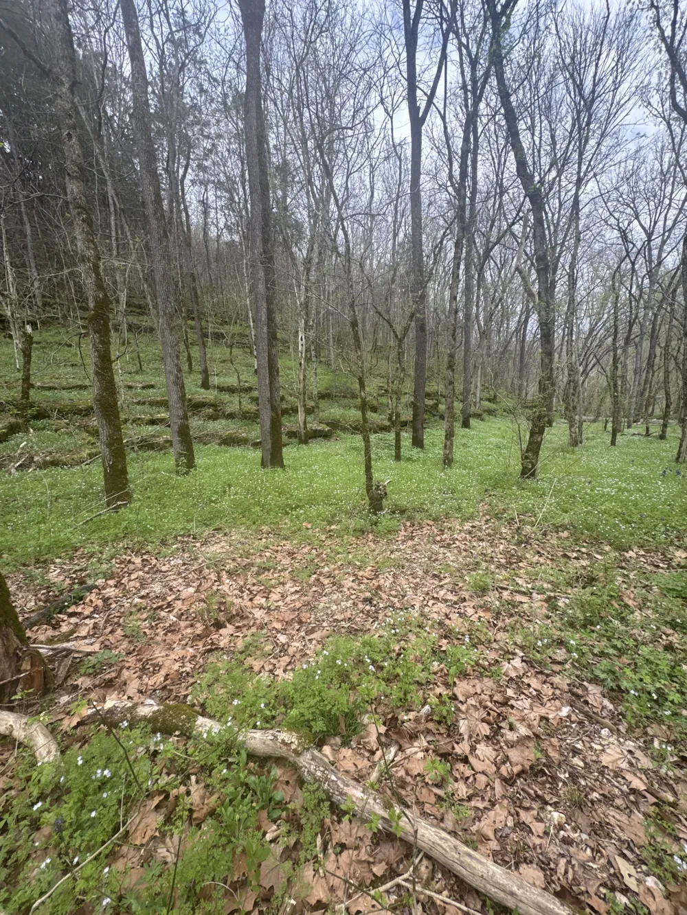 0 McBroom Branch Rd Baxter, TN 38544