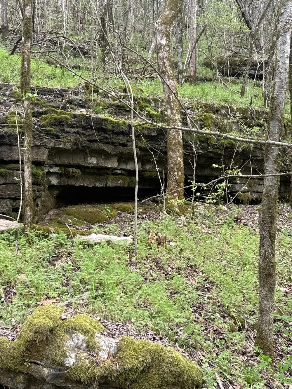 0 McBroom Branch Rd Baxter, TN 38544