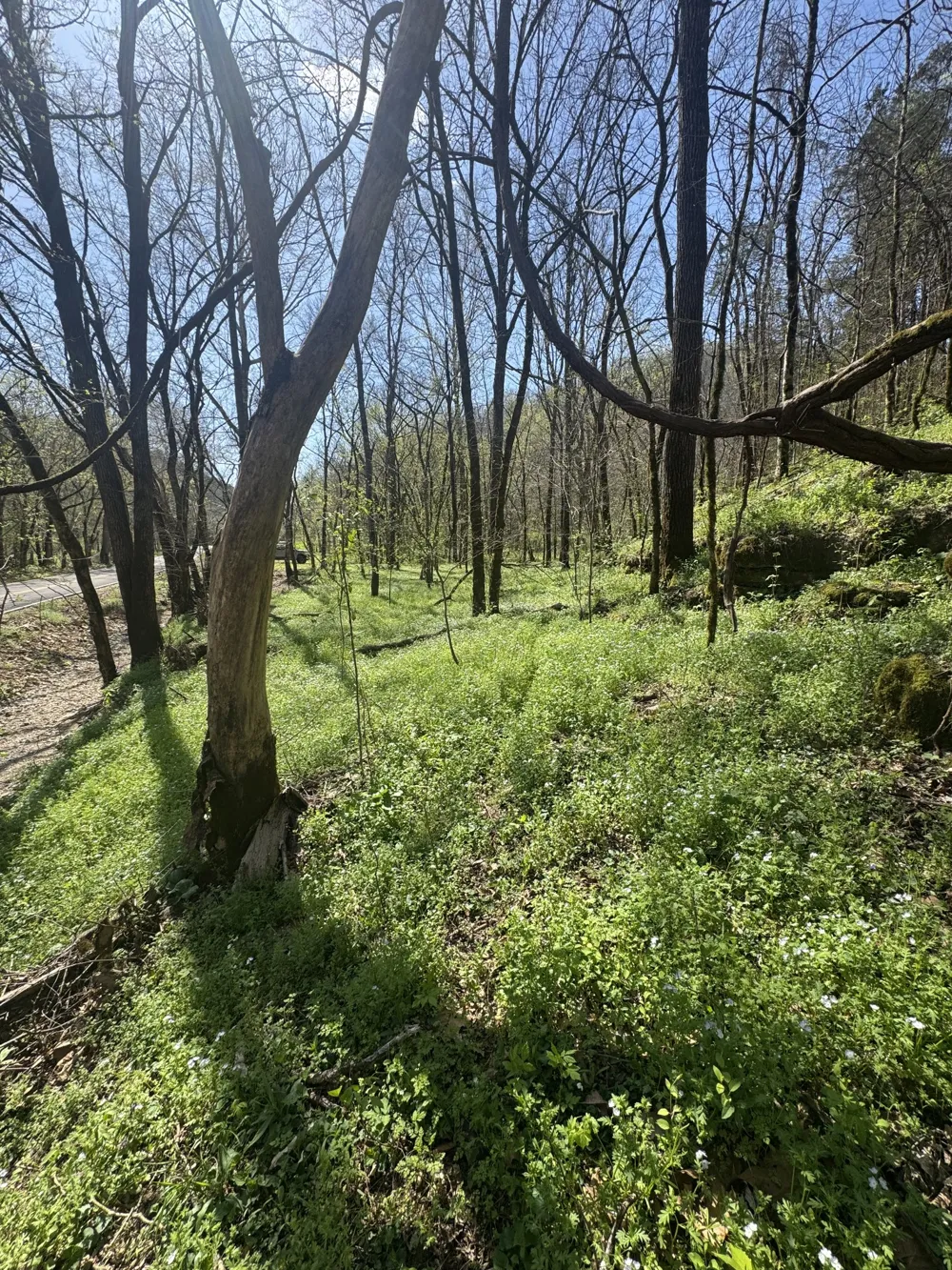 0 McBroom Branch Rd Baxter, TN 38544