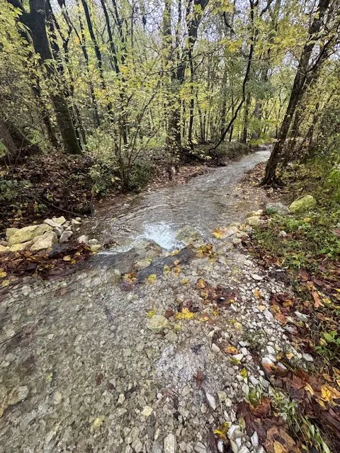 0 McBroom Branch Rd Baxter, TN 38544