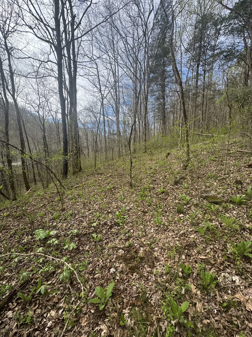 0 McBroom Branch Rd Baxter, TN 38544