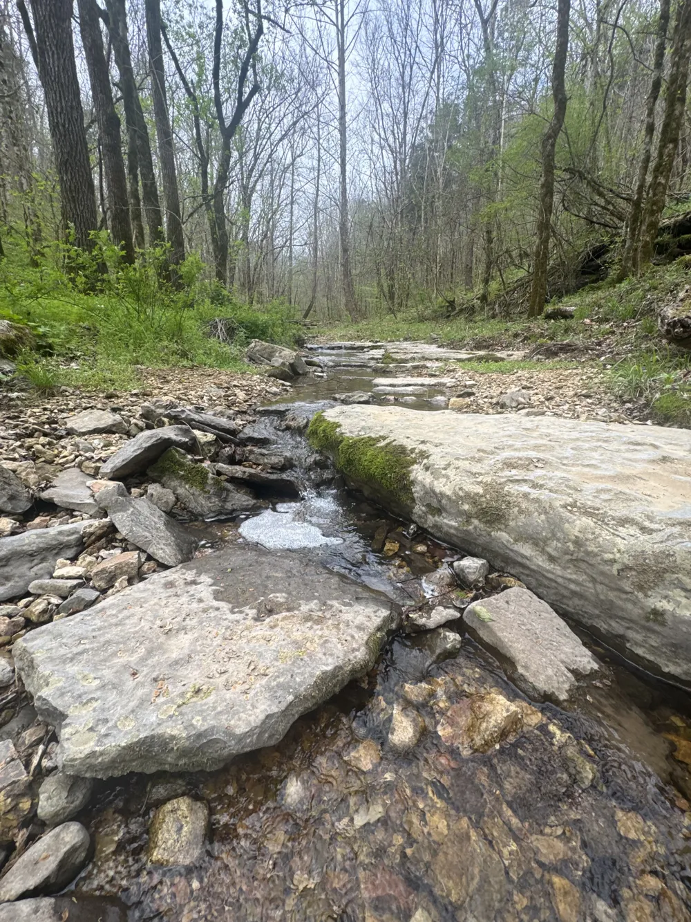 0 McBroom Branch Rd Baxter, TN 38544
