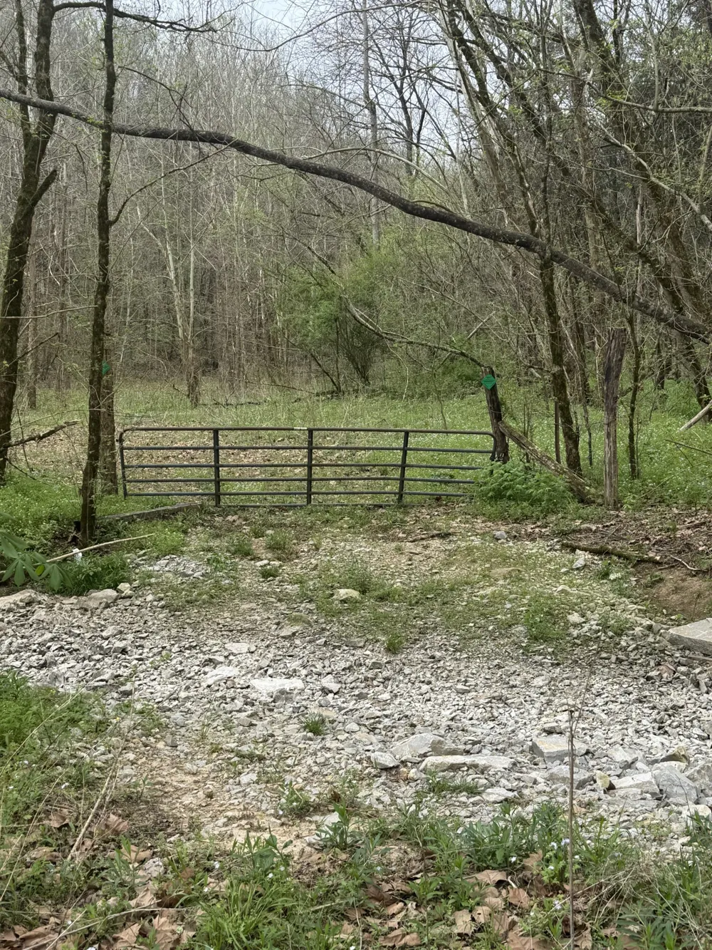 0 McBroom Branch Rd Baxter, TN 38544