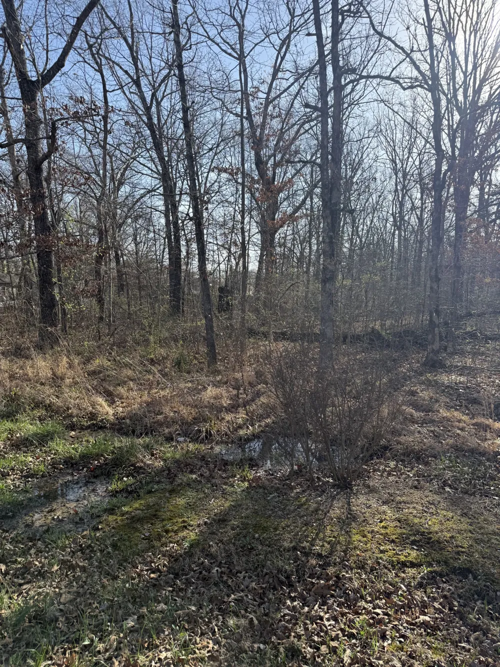 0 Cheyenne Cir Beechgrove, TN 37018